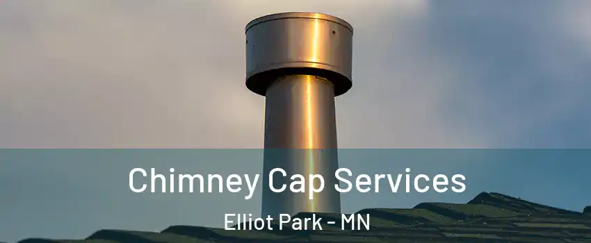 Chimney Cap Services Elliot Park - MN