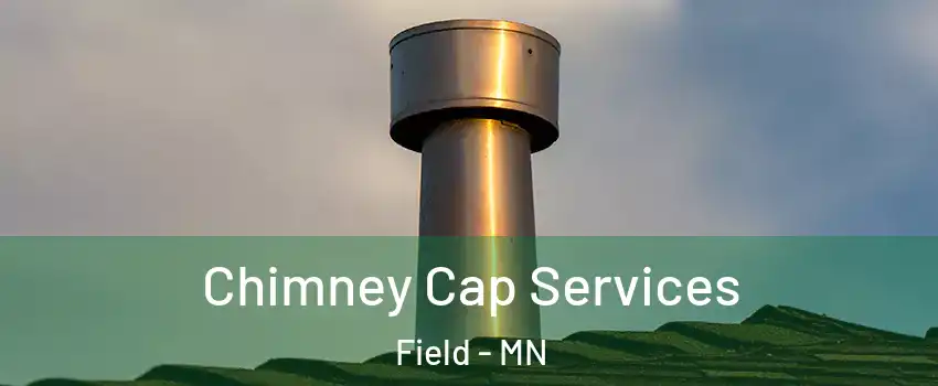 Chimney Cap Services Field - MN