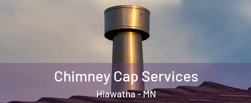 Chimney Cap Services Hiawatha - MN