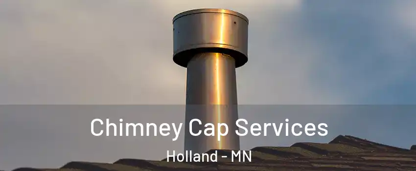 Chimney Cap Services Holland - MN