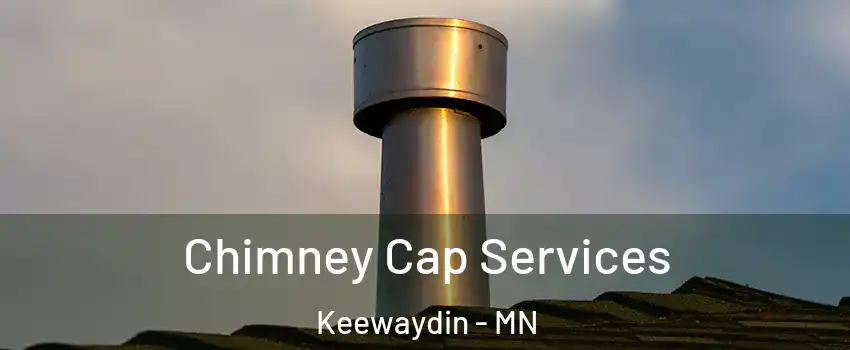 Chimney Cap Services Keewaydin - MN