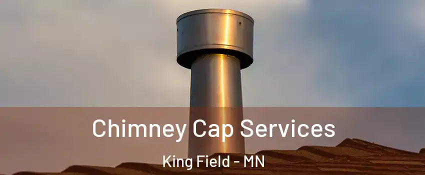 Chimney Cap Services King Field - MN