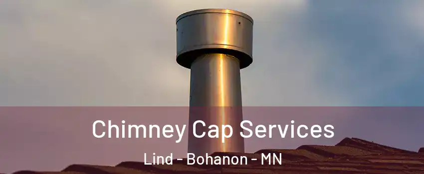 Chimney Cap Services Lind - Bohanon - MN