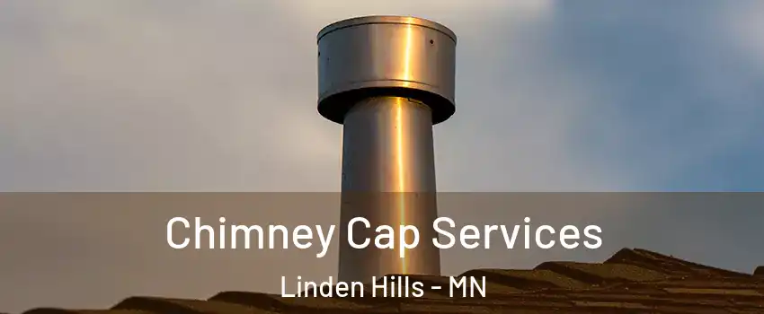 Chimney Cap Services Linden Hills - MN