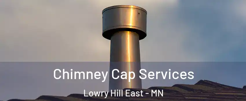 Chimney Cap Services Lowry Hill East - MN