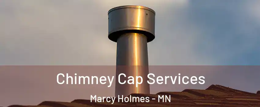 Chimney Cap Services Marcy Holmes - MN