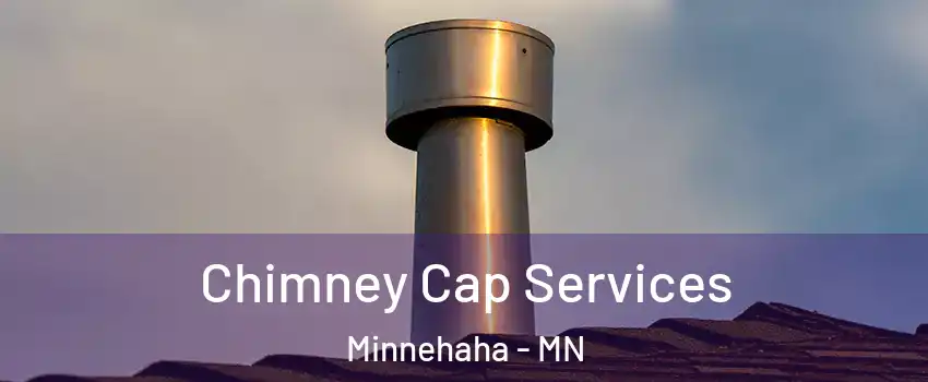 Chimney Cap Services Minnehaha - MN