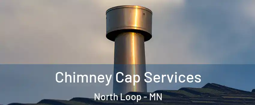 Chimney Cap Services North Loop - MN