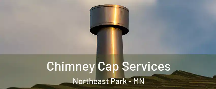 Chimney Cap Services Northeast Park - MN