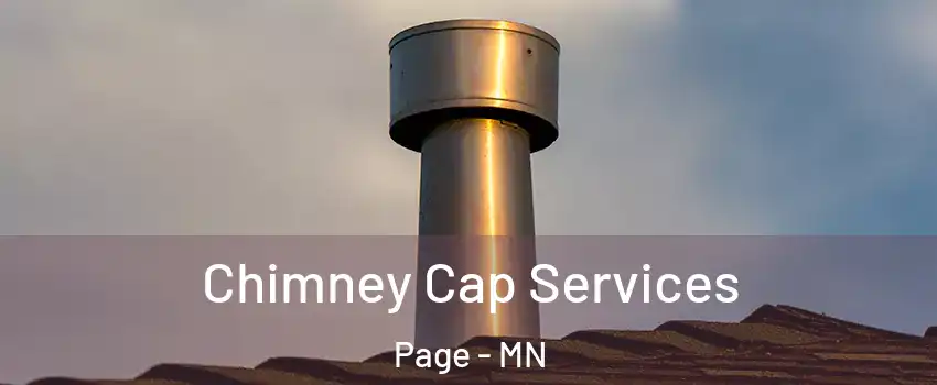 Chimney Cap Services Page - MN