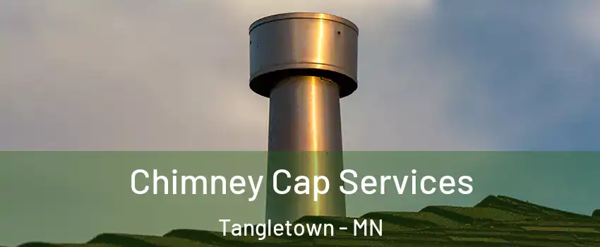 Chimney Cap Services Tangletown - MN