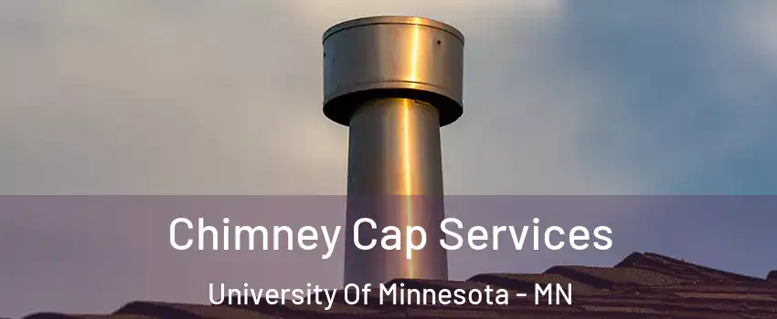 Chimney Cap Services University Of Minnesota - MN