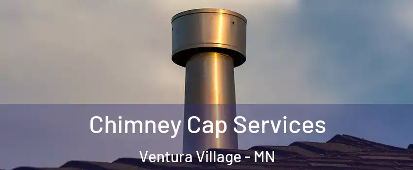 Chimney Cap Services Ventura Village - MN