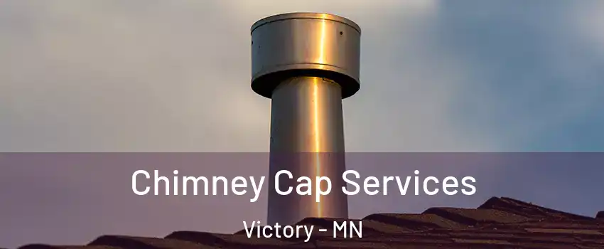 Chimney Cap Services Victory - MN