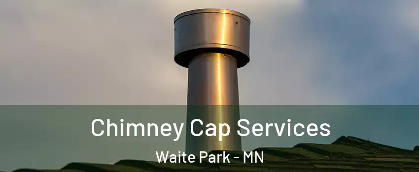 Chimney Cap Services Waite Park - MN