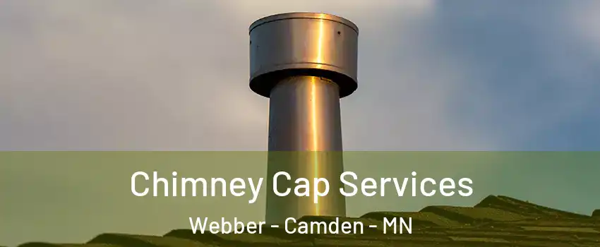 Chimney Cap Services Webber - Camden - MN