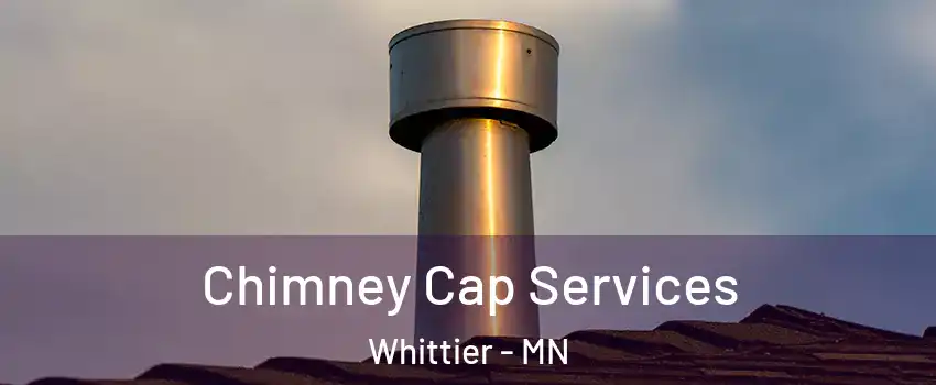 Chimney Cap Services Whittier - MN