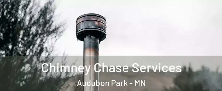 Chimney Chase Services Audubon Park - MN