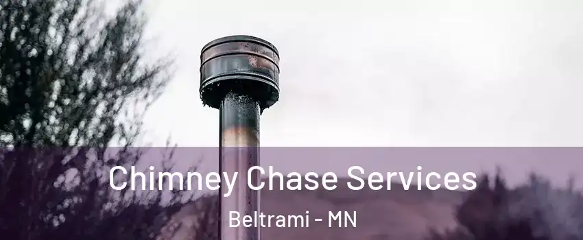 Chimney Chase Services Beltrami - MN