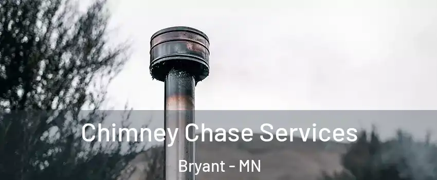Chimney Chase Services Bryant - MN