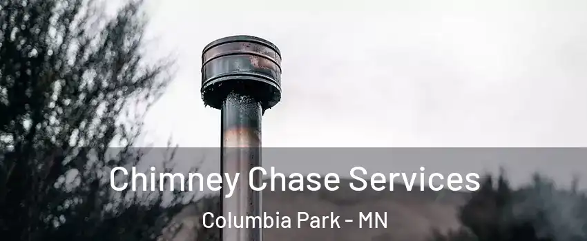 Chimney Chase Services Columbia Park - MN