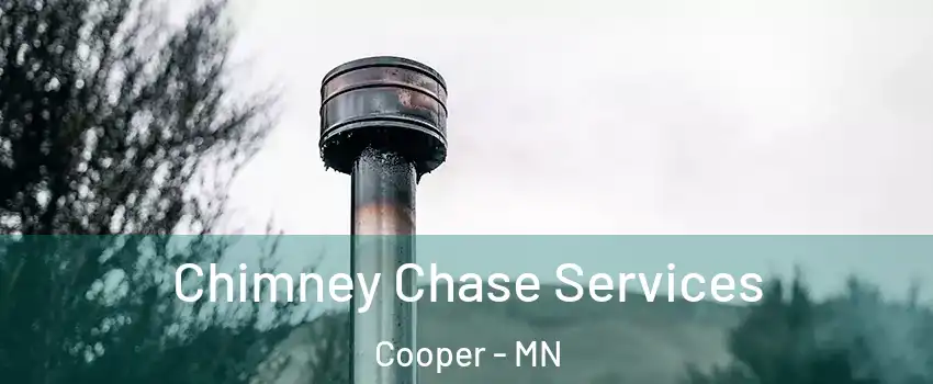 Chimney Chase Services Cooper - MN
