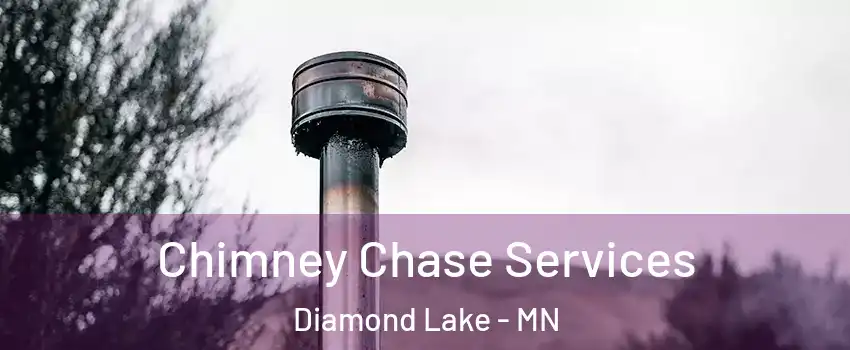 Chimney Chase Services Diamond Lake - MN