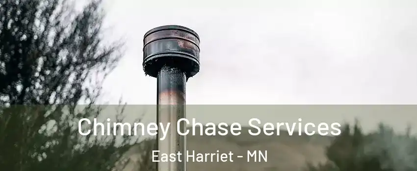 Chimney Chase Services East Harriet - MN
