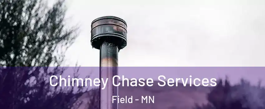 Chimney Chase Services Field - MN