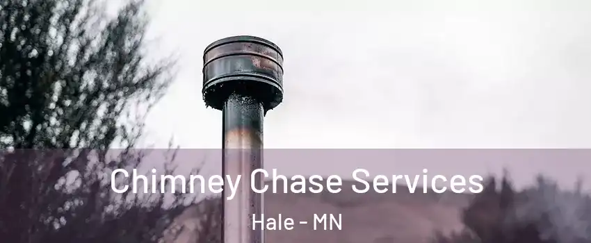 Chimney Chase Services Hale - MN
