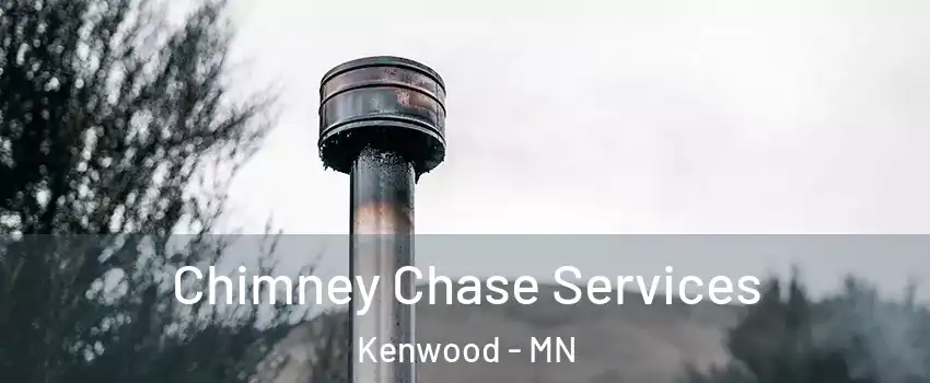 Chimney Chase Services Kenwood - MN