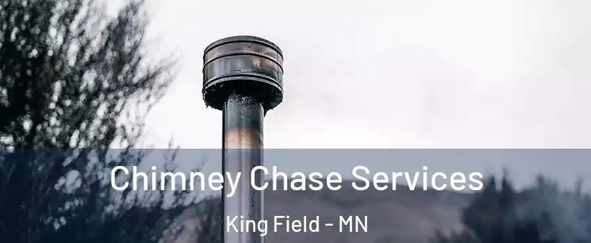 Chimney Chase Services King Field - MN