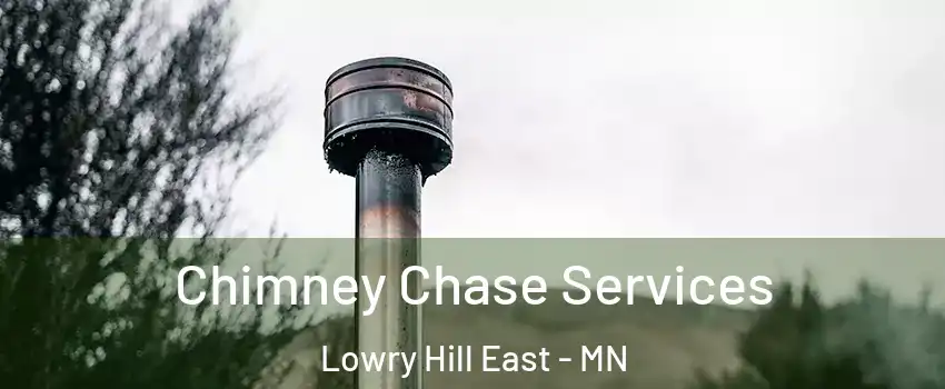 Chimney Chase Services Lowry Hill East - MN
