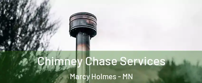 Chimney Chase Services Marcy Holmes - MN