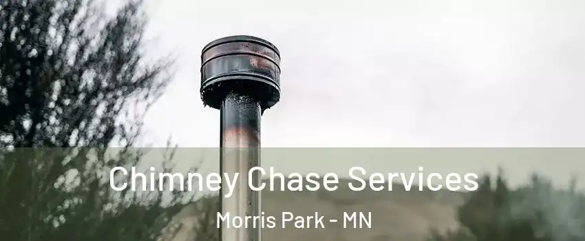 Chimney Chase Services Morris Park - MN