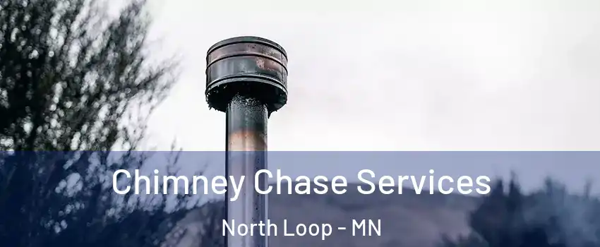 Chimney Chase Services North Loop - MN