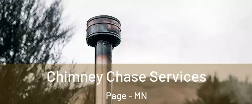 Chimney Chase Services Page - MN