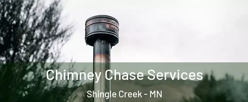 Chimney Chase Services Shingle Creek - MN