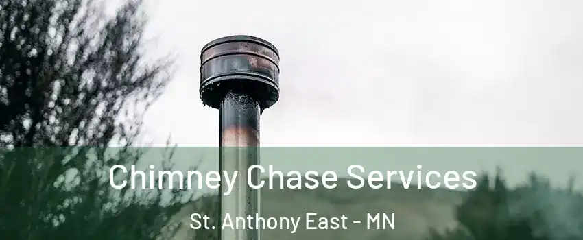 Chimney Chase Services St. Anthony East - MN