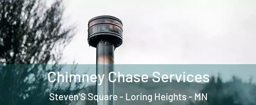 Chimney Chase Services Steven'S Square - Loring Heights - MN
