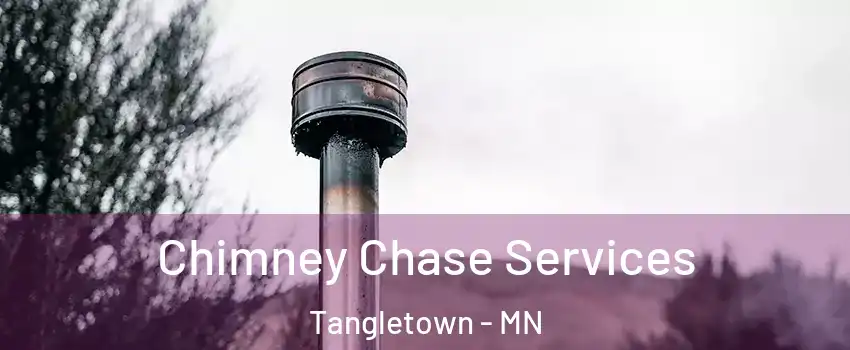 Chimney Chase Services Tangletown - MN