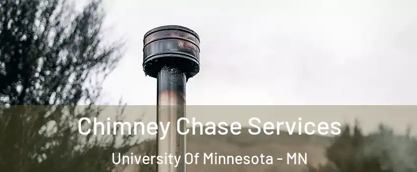 Chimney Chase Services University Of Minnesota - MN