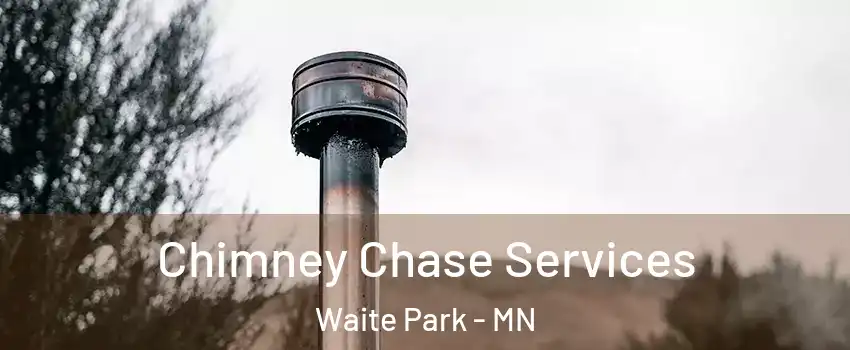 Chimney Chase Services Waite Park - MN