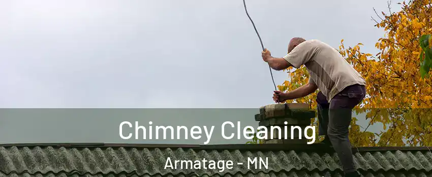 Chimney Cleaning Armatage - MN