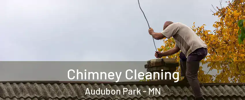 Chimney Cleaning Audubon Park - MN
