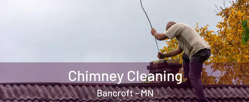 Chimney Cleaning Bancroft - MN