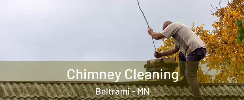 Chimney Cleaning Beltrami - MN
