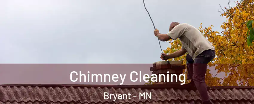 Chimney Cleaning Bryant - MN