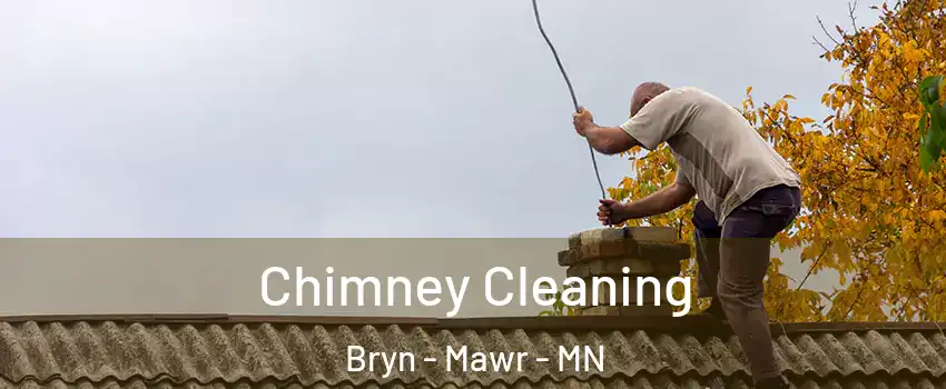 Chimney Cleaning Bryn - Mawr - MN