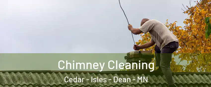 Chimney Cleaning Cedar - Isles - Dean - MN